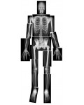 Rentgenowskie zdjęcia ludzkiego szkieletu